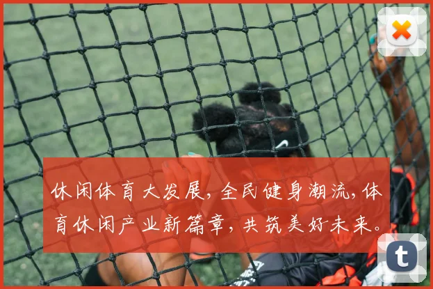 休闲体育大发展,全民健身潮流,体育休闲产业新篇章,共筑美好未来。