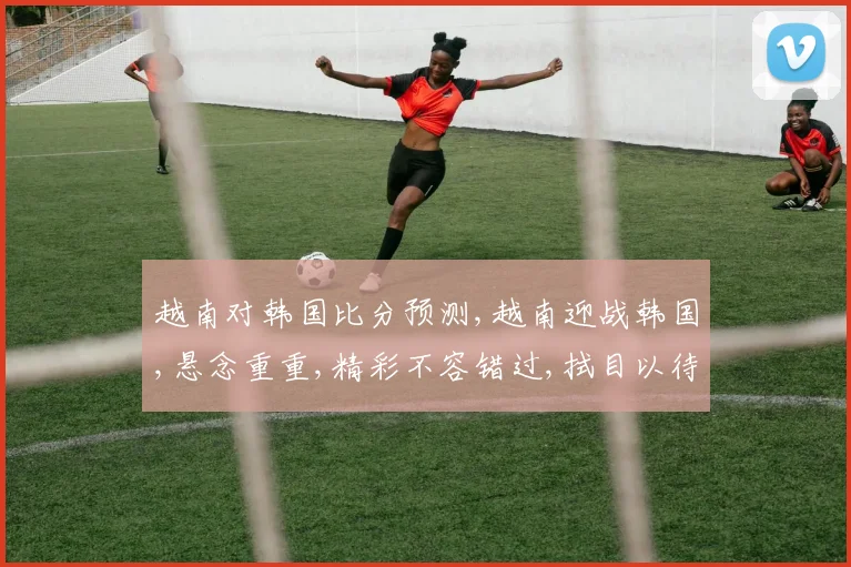 越南对韩国比分预测,越南迎战韩国,悬念重重,精彩不容错过,拭目以待
